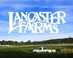 Lancaster Farms -- wholesale container plant nursery - 