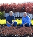 Kraemer's Nursery -- containerized and field grown stock - 